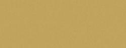 French Paper - CONSTRUCTION - Factory Green - 25 x 38 - 28/70lb TEXT - 1000 PK