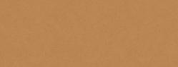 French Paper - CONSTRUCTION - Safety Orange - 25 x 38 - 28/70lb TEXT - 1000 PK