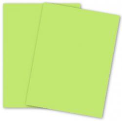 ShockingGreen.jpg