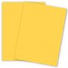 ShockingYellow.jpg