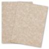 French Parchtone - CAMEL - 8.5 x 11 Parchment Paper - 24/60lb Text - 5000 PK