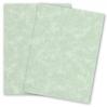 French Parchtone - SAGE - 8.5 x 11 Parchment Paper - 24/60lb Text - 5000 PK