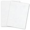 French Parchtone - WHITE - 23 x 35 Parchment Paper - 32/80lb Text - 1100 PK