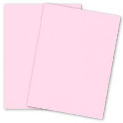 Paper-Bubblegum.jpg