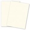 Mohawk Loop Antique Vellum - MILKWEED - 160lb Cover - 26 x 40 Card Stock Paper