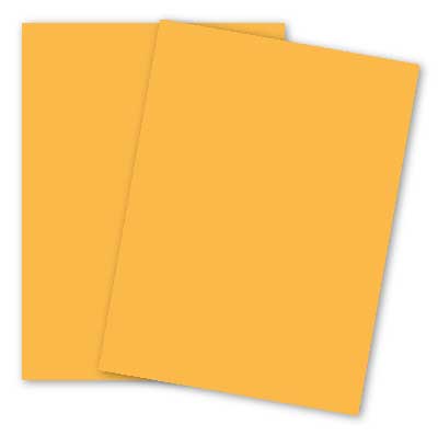 Safety Yellow
