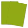 Mohawk VIA Vellum - LEAF GREEN - 80lb Cover - 26 x 40 Card Stock Paper - 500 PK