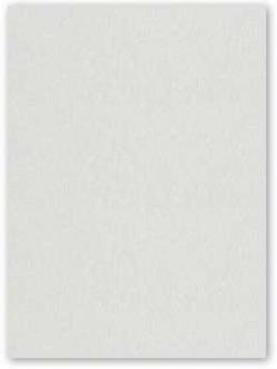 Neenah CLASSIC CREST 8.5 x 11 Cardstock Paper - Antique Gray - 80lb Cover - 250 PK