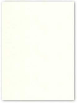 Neenah CLASSIC CREST 8.5 x 11 Cardstock Paper - Classic Natural White - 110lb Cover - 250 PK