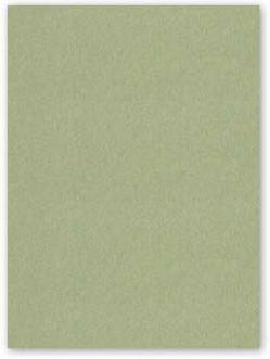 Neenah CLASSIC CREST 8.5 x 11 Cardstock Paper - Tarragon - 80lb Cover - 250 PK