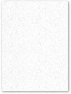 Neenah CLASSIC CREST 8.5 x 11 Cardstock Paper - Whitestone - 110lb Cover - 250 PK