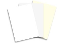 Neenah CLASSIC CREST 12in x 18in Paper - 80lb TEXT - 250 PK