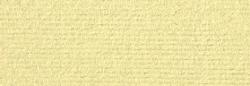 Neenah CLASSIC LAID - 8.5 x 11 Paper - 24lb Writing - Camel Hair - 500 PK