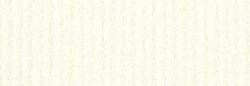 Neenah CLASSIC COLUMNS - 8.5 x 11 Cardstock Paper - 80lb Cover - Classic Natural White - 250 PK