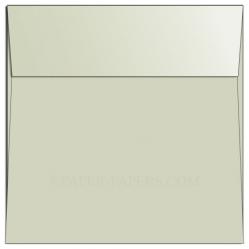 Shine CHAMPAGNE - Shimmer Metallic - 6.5 SQUARE ENVELOPES - 25 PK