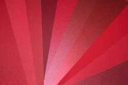 FAVORITE PAPERS - Red - 8.5 x 11 - **SAMPLER PACK**