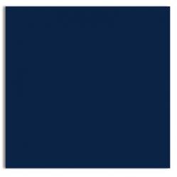 Plike (Plastic-Like) Paper - 12 x 12 - BLUE - 122LB COVER - 100 PK