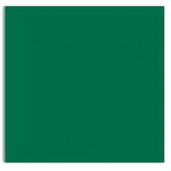 Plike (Plastic-Like) Paper - 12 x 12 - GREEN - 122LB COVER - 100 PK