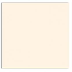 Plike (Plastic-Like) Paper - 12 x 12 - IVORY - 122LB COVER - 100 PK