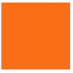 Plike (Plastic-Like) Paper - 12 x 12 - ORANGE - 122LB COVER - 100 PK