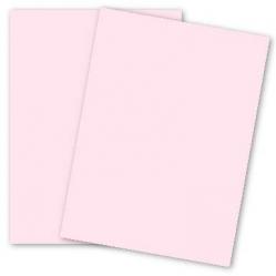 Plike (Plastic-Like) Paper - (28.3 in x 40.2 in) - PINK - 122LB COVER