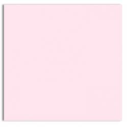 Plike (Plastic-Like) Paper - 12 x 12 - PINK - 122LB COVER - 100 PK