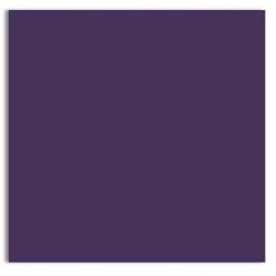 Plike (Plastic-Like) Paper - 12 x 12 - PURPLE - 122LB COVER - 100 PK