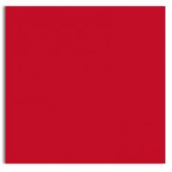 12x12 Paper - Plike Red