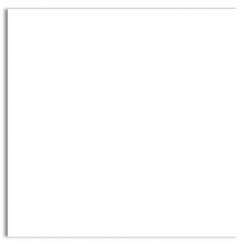 Plike (Plastic-Like) Paper - 12 x 12 - WHITE - 122LB COVER - 100 PK