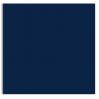 Plike (Plastic-Like) Paper - 12 x 12 - BLUE - 122LB COVER - 100 PK