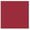 Plike (Plastic-Like) Paper - 12 x 12 - BORDEAUX - 122LB COVER - 100 PK
