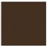 Plike (Plastic-Like) Paper - 12 x 12 - BROWN - 122LB COVER - 100 PK