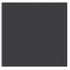 Plike (Plastic-Like) Paper - 12 x 12 - GRAPHITE - 122LB COVER - 100 PK