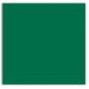 Plike (Plastic-Like) Paper - 12 x 12 - GREEN - 122LB COVER - 100 PK