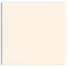 Plike (Plastic-Like) Paper - 12 x 12 - IVORY - 122LB COVER - 100 PK