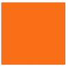 Plike (Plastic-Like) Paper - 12 x 12 - ORANGE - 122LB COVER - 100 PK