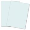 Plike (Plastic-Like) Paper - (28.3 in x 40.2 in) - PALE BLUE - 122LB COVER