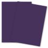 Plike (Plastic-Like) Paper - (28.3 in x 40.2 in) - PURPLE - 122LB COVER