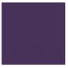 Plike (Plastic-Like) Paper - 12 x 12 - PURPLE - 122LB COVER - 100 PK