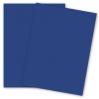 Plike (Plastic-Like) Paper - (28.3 in x 40.2 in) - ROYAL BLUE - 122LB COVER
