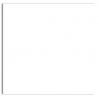 Plike (Plastic-Like) Paper - 12 x 12 - WHITE - 122LB COVER - 100 PK