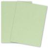 Stardream Metallic - 8.5 x 11 - Cardstock Paper - 105lb Cover - SERPENTINE - 25 PK