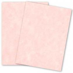 Wausau Astroparche - SHELL - 8.5 x 11 Parchment Paper - 60lb Text - 500 PK