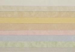 Wausau Astroparche - 8.5 x 11 Parchment Paper - 60lb Text - 500 PK