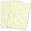 Wausau Astroparche - CELADON - 8.5 x 11 Parchment Paper - 60lb Text - 500 PK