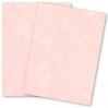 Wausau Astroparche - SHELL - 8.5 x 11 Parchment Paper - 60lb Text - 500 PK