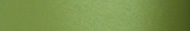 Shine - Lime Satin