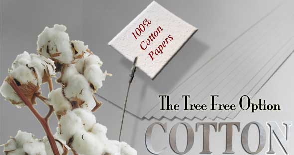 Featuring 100% Cotton Paper and Envelopes