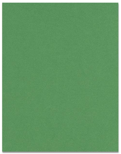 Curious Metallic BOTANIC Paper 80lb Text 8.5 x 11 50 PK